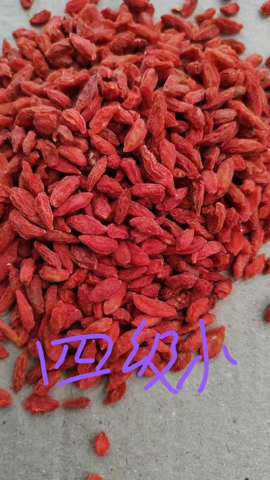 Qinglong Red Fuji 4(图1)